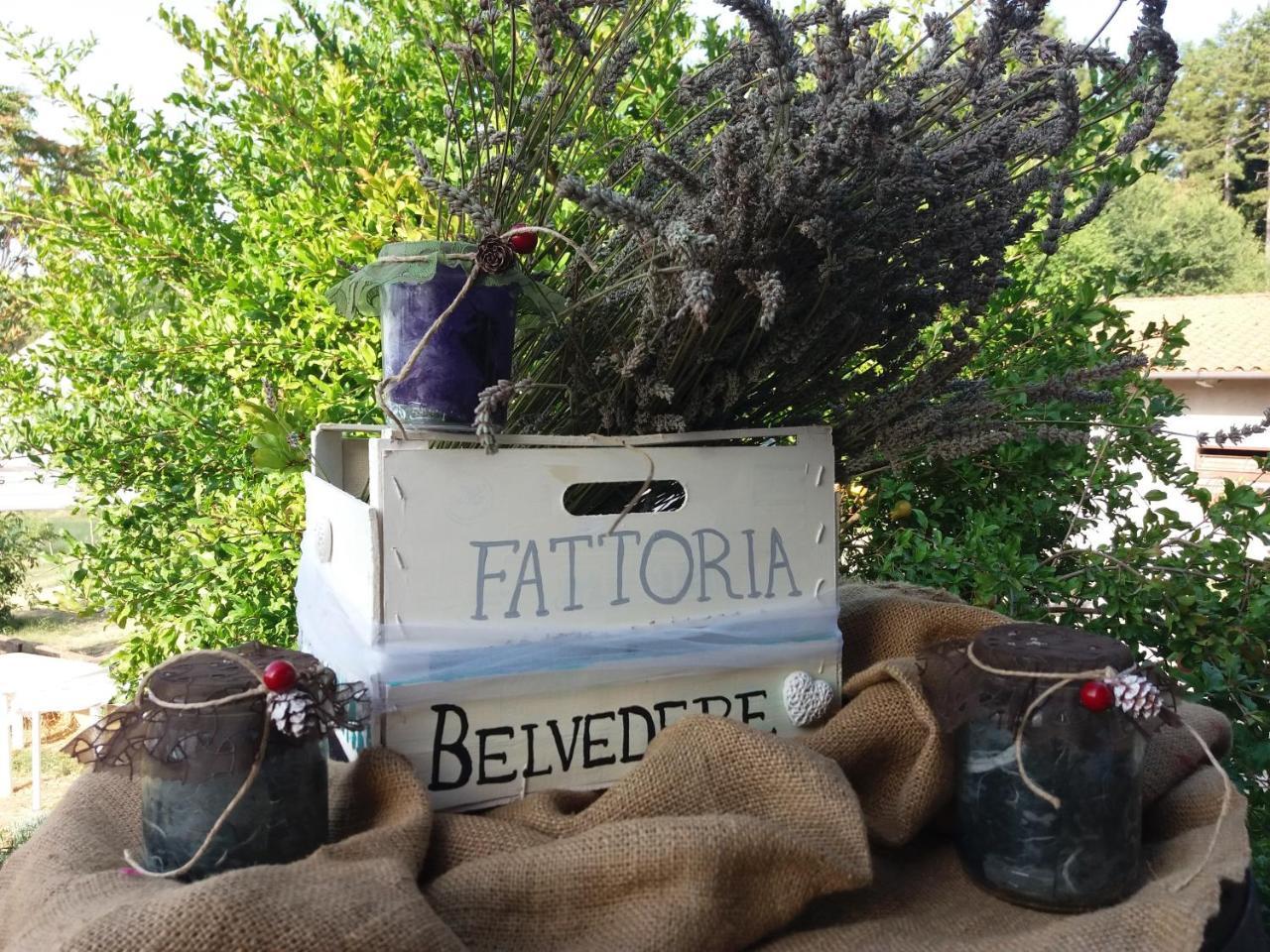 Fattoria Belvedere San Lazzaro di Savena Luaran gambar